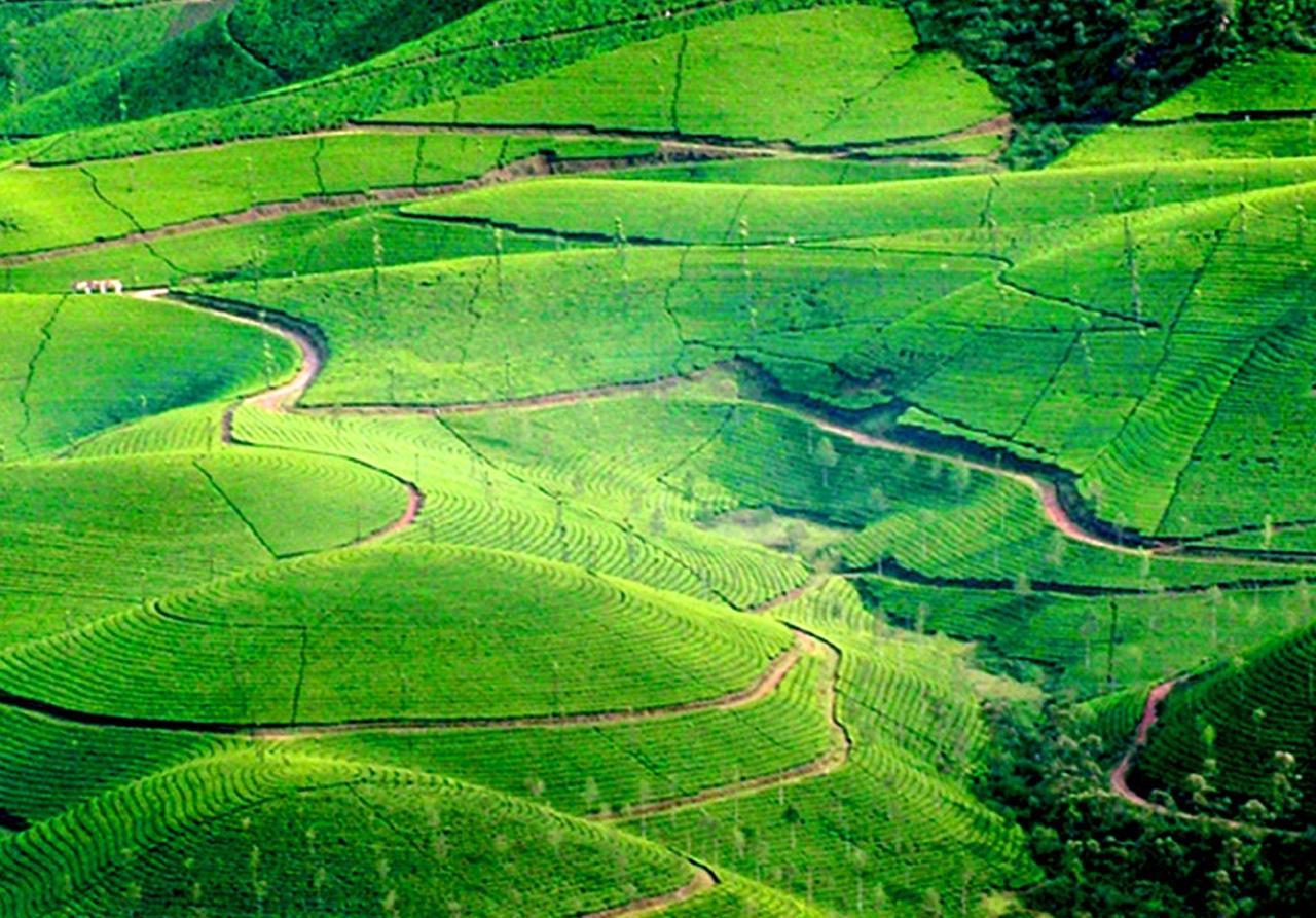 Viduthi Homestay Munnar Kültér fotó